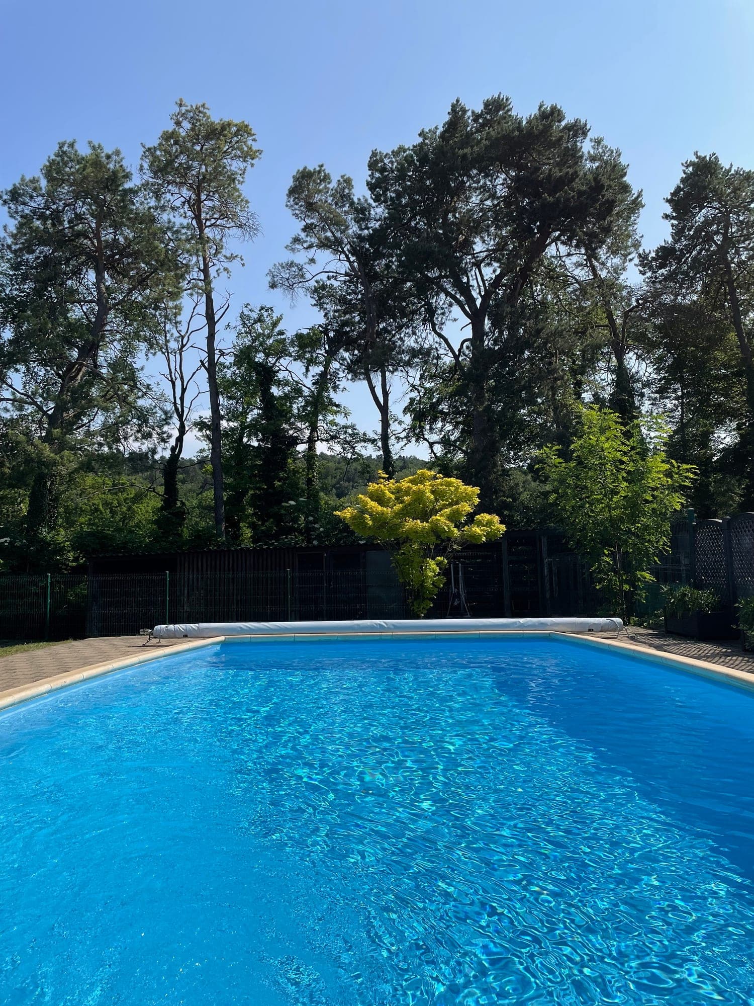 Magnifique villa de 5.5 pièces avec piscine — 1483 Montet (Broye)