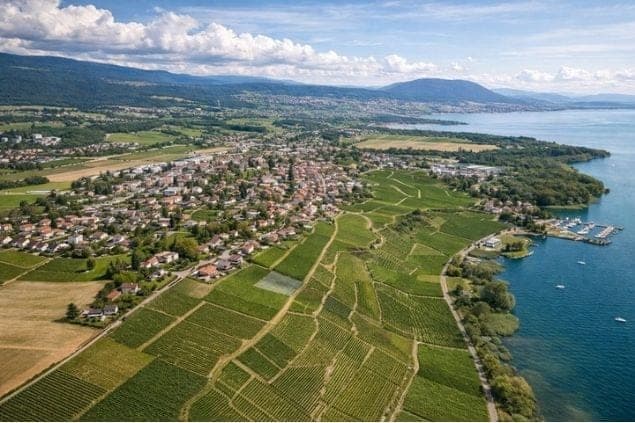 TERRAIN À BÂTIR EN BORDURE DES VIGNES – UN CADRE PRIVILÉGIÉ À CRESSIER — 2088 Cressier